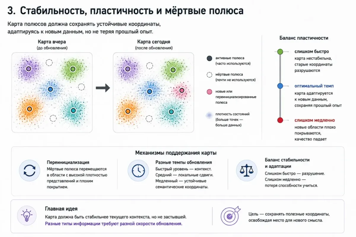 Семантическая карта между стабильностью и пластичностью