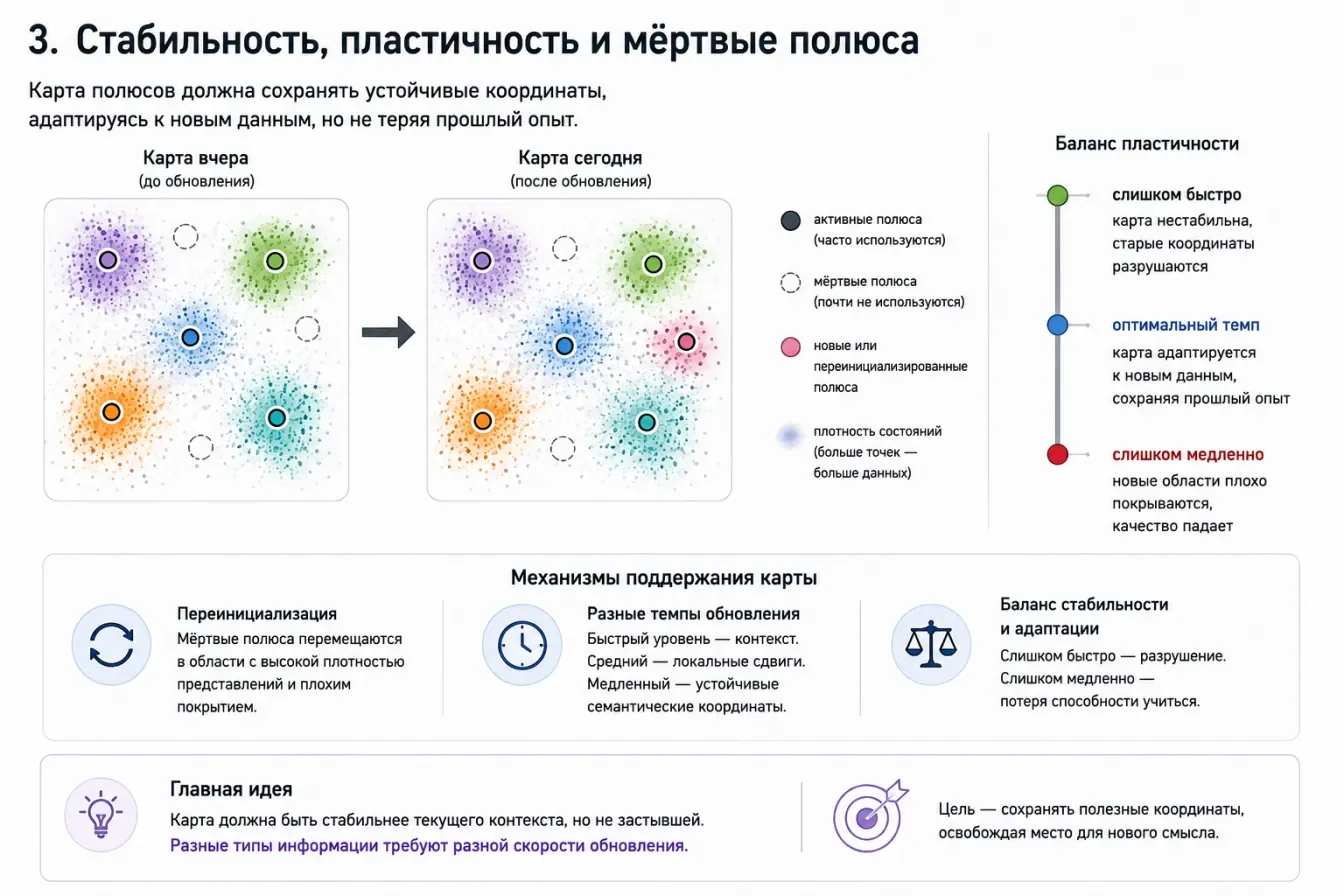 Семантическая карта между стабильностью и пластичностью